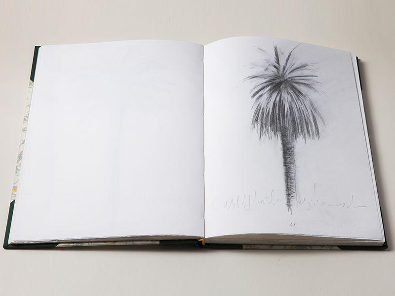 LIBRO DISEGNI PALME