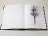 LIBRO DISEGNI PALME (imm. 4 di 6)