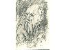 Volto in primo piano D (imm. 5 di 30)