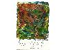 Giardino (imm. 3 di 15)