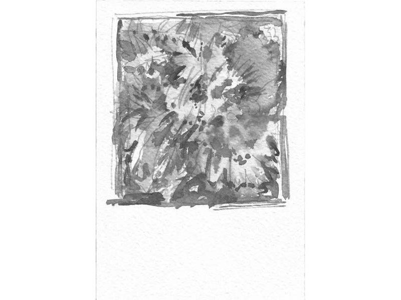 Giardino 2
