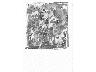 Giardino 2 (imm. 9 di 15)