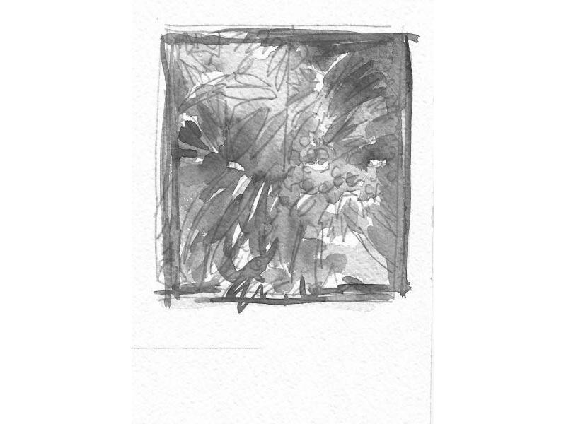 Giardino 2