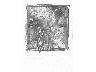 Giardino 2 (imm. 8 di 15)