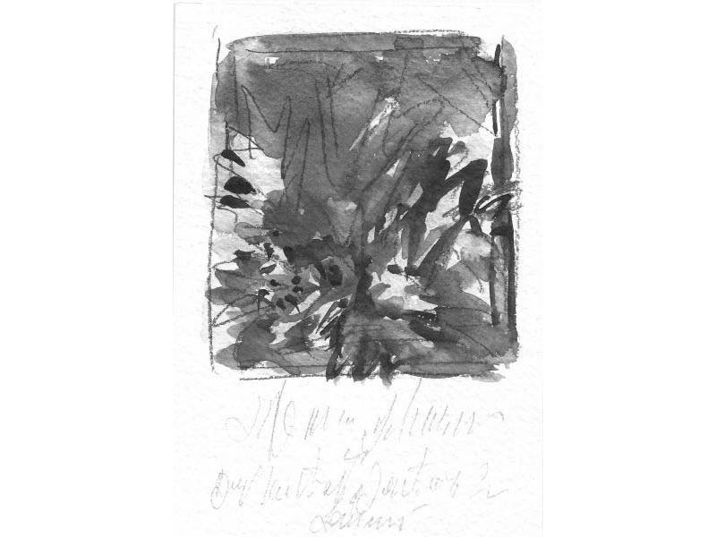 Giardino 2
