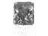 Giardino 2 (imm. 7 di 15)
