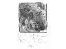 Giardino 2 (imm. 6 di 15)