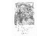 Giardino 2 (imm. 10 di 15)