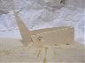 Immagine 13 (imm. 13 di 21)