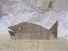 Immagine 12 (imm. 12 di 21)