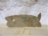 Immagine 7 (imm. 7 di 21)