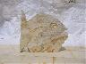 Immagine 6 (imm. 6 di 21)