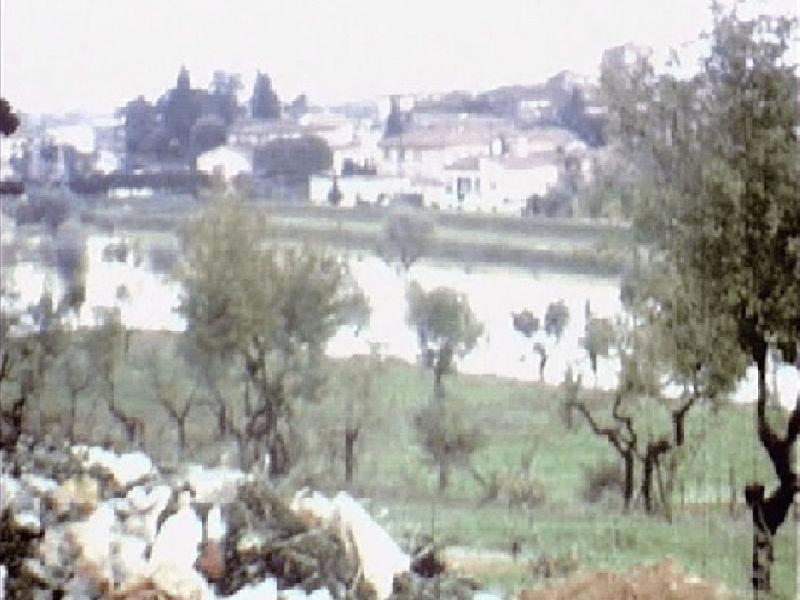 Rimaggio da San Martino a Gangalandi (novembre 1966)