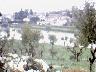 Rimaggio da San Martino a Gangalandi (novembre 1966) (imm. 8 di 29)