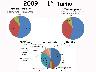 Consultazione elettorale comunale 2009/14 (imm. 14 di 27)