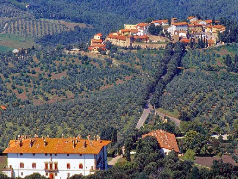 Villa La Ferdinanda, con vista del viale che conduce ad Artimino (2005)