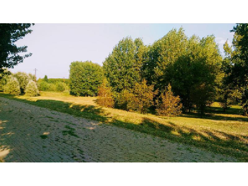 Lastra a Signa,Parco fluviale, 18 agosto 2018