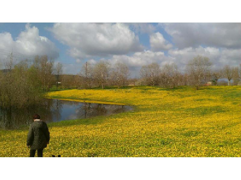 Lastra a Signa,Parco fluviale, 18 agosto 2018