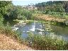 Porto di Mezzo di  Lastra a Signa, rapide sull'Arno 2000 circa (imm. 13 di 31)