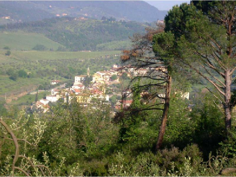 Brucianesi, anno 2000 circa