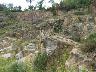 Cava della gonfolina (imm. 24 di 37)