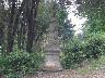 Primavera 2005 - Villa Bellosguardo (imm. 7 di 44)