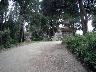 Primavera 2005 - Villa Bellosguardo (imm. 29 di 44)