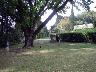 Primavera 2005 - Villa Bellosguardo (imm. 44 di 44)