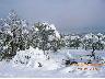 Inverno 2005 - Villa Bellosguardo (imm. 9 di 20)