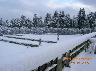 Inverno 2005 - Villa Bellosguardo (imm. 11 di 20)