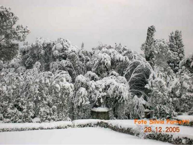 Inverno 2005 - Villa Bellosguardo