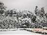 Inverno 2005 - Villa Bellosguardo (imm. 13 di 20)