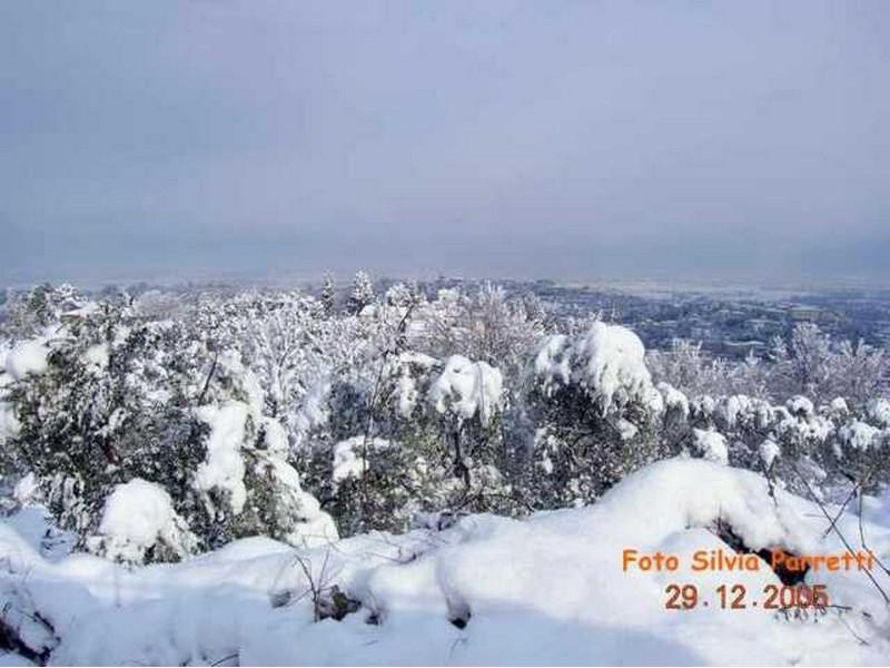 Inverno 2005 - Villa Bellosguardo