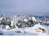 Inverno 2005 - Villa Bellosguardo (imm. 18 di 20)