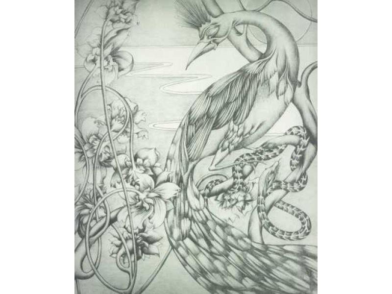 Il pavone 1990 disegno a matita su gesso cm 50x60