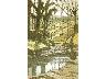 1926. Il ruscello, Orvieto, spruzzo acquerellato, 16x26 (imm. 17 di 30)