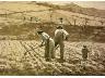 1927. Scena campestre, Orvieto, acquerello monocromo 33x21 | Gino Frittelli (imm. 19 di 30)