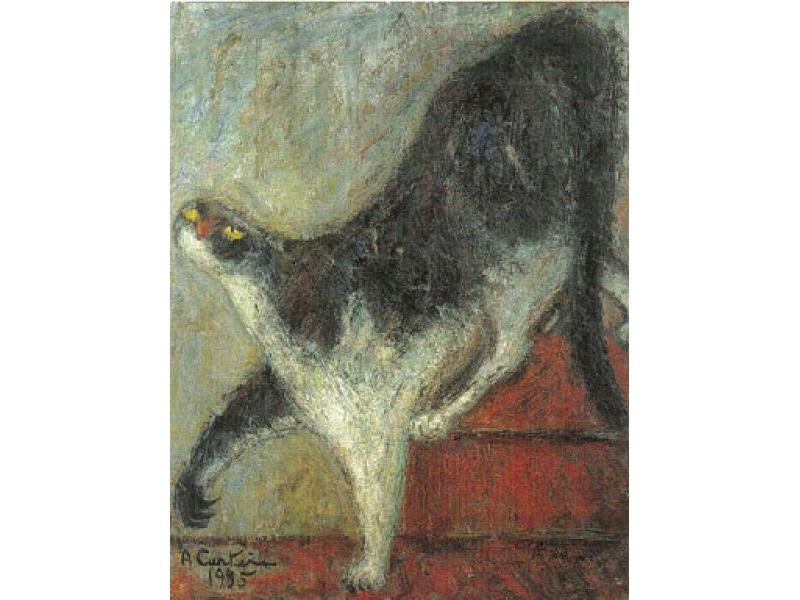 Gatto che scende le scale, 1985. Olio su tela, cm 40x50