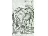 Mucca nella stalla, 1918,<br> matita copiativa bleu su carta,  mm. 180x110 (imm. 5 di 17)