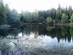 Lastra a Signa, Lago Pianacci