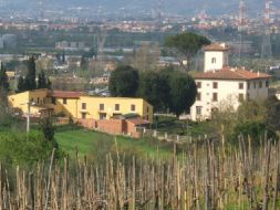 villa tassinara villa tassinara