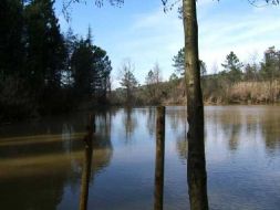 Lastra a Signa, Lago Moretti