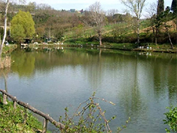 Lastra a Signa, Lago Bleu