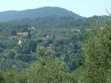 Vigliano