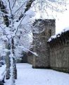 Nevicata del 29 Dicembre 2005. Capoluogo  e parco fluviale