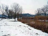 Parco fluviale, d'Inverno