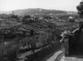 San Martino a Gangalandi dalla chiesa di Calcinaia 1950 | Lastra a Signa