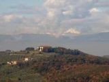 ARTIMINO, Carmignano (PO)<br>villa medicea