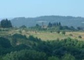 Carcheri da Marliano (panorama Giugno 2007)