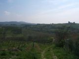 Panorama di Carcheri (Lastra a Signa 2007)